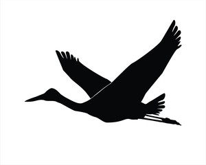 silhouette of a sandhill crane vector illustration