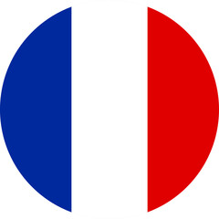 FRANCE flag illustrator national of vector