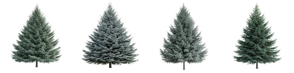 Majestic Evergreen Trees in Snowy Winter Landscape  Lush coniferous forest of fir pine and spruce trees with snow covered branches creating a serene and peaceful winter scene