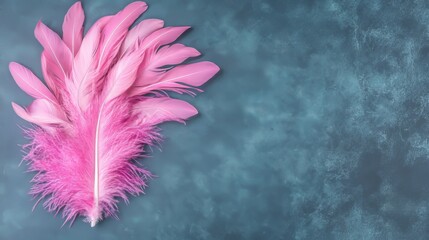 Obraz premium Pink Feathers on Teal Textured Background