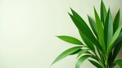 Fototapeta premium Vibrant Green Foliage Against a Soft, Neutral Background, Showcasing the Lush Texture and Elegant Simplicity of Nature's Design