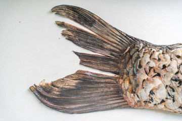 Carp tail on a white table. Space for text. Copyspace.