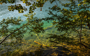 Lake water surface. The tranquil transparent waters of lake in the background. Beautiful nature. Landscape Reflection off of a clear lake water surface on a bright sunny day. Calm lake in forest.