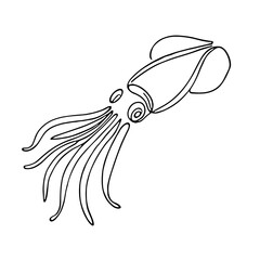 Fototapeta premium Squid, vector, black line drawing, minimalistic, single line, simple line, isolated, transparent background 