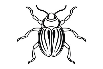 Beetle line art vector illustration.eps