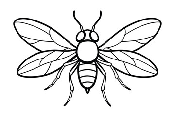 Horsefly line art vector illustration.eps