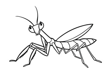 Praying Mantis line art vector illustration.eps