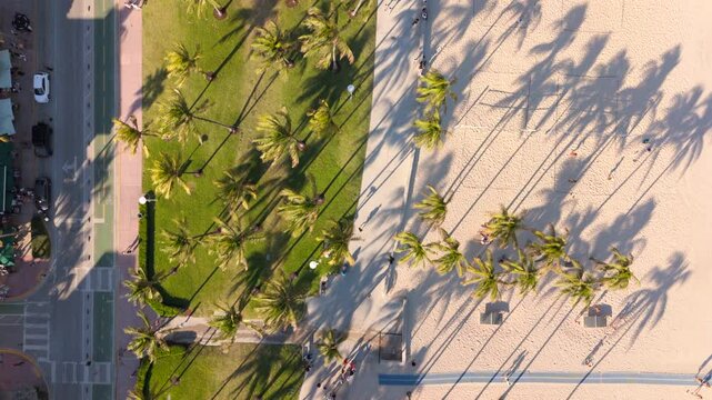 Aerial shot of Miami Beach showcases its stunning coastline and vibrant atmosphere, offering a glimpse into luxury travel and unforgettable holiday iconic destination, green beach Maimi park, Florida