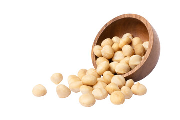 Macademia nut in bowl isolated