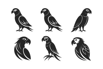 African Grey Parrot (Psittacus erithacus) mammal animal, labeled silhouette vector art illustration.