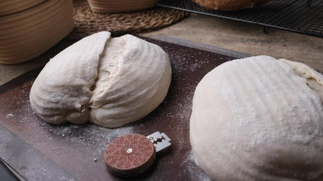 Raw Fresh artisan bread dough ready to bake. 