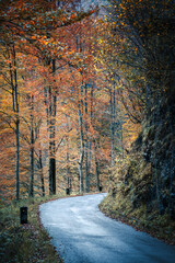 Autumn of magic in the Arzino waterfalls