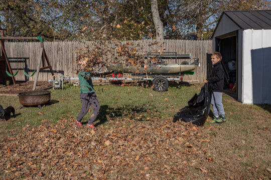 2 boys picking up leaves while one boy throws them in air