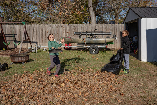 Two boys playing with a pile of leaves in a backyard on a sunny day