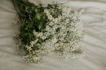 Cluster of daisies and baby's breath in soft focus with warm tones