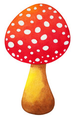 red mushroom nature plant fungus fungi forest wild autumn season amanita natural toadstool cap icon logo symbol sign art design illustration watercolor painting white isolated background drawing