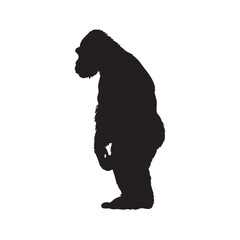 silhouette of a gorilla