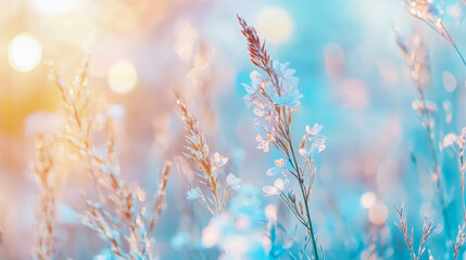 Pastel Bloom: Delicate Flowers in Soft Light