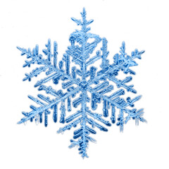 winter natural snowflake is a real macro crystal photo isolated on a white background