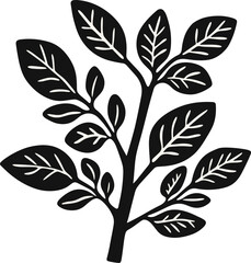 Botanical illustration of a stylized leafy branch isolated on transparent background. Vector illustration.