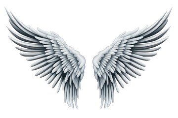 Obraz premium A spreading angle wing angel white white background