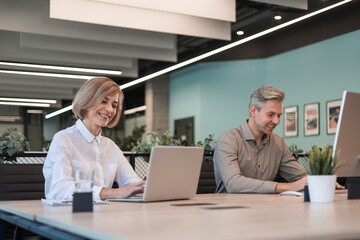 Businesspeople in formalwear working on laptop and PC in the modern office.
