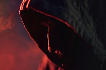 Hacker or scammer character