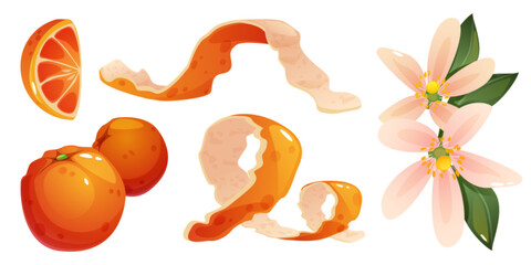 Orange fruit elements set with peeled spiral skin, citrus slice, whole fruits and blossom. Fresh tangerine composition showing pink flowers with green leaves, juicy segments, bright peel pieces.