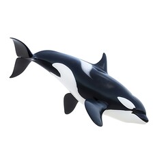 Obraz premium Killer Whale: A majestic killer whale, or orca, with its distinctive black and white coloration and powerful build, glides through the water. The image showcases the creature's sleek.