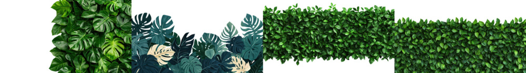 Fototapeta premium Lush Green Foliage Backdrop with Diverse Botanical Elements in Natural Environment