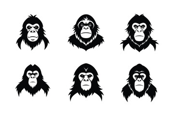 Bornean Orangutan (Pongo pygmaeus pygmaeus) mammal animal, labeled silhouette vector art illustration.