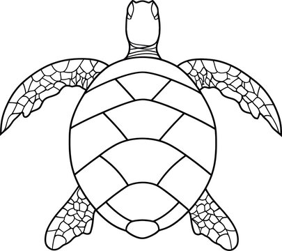 turtle illustration silhouette