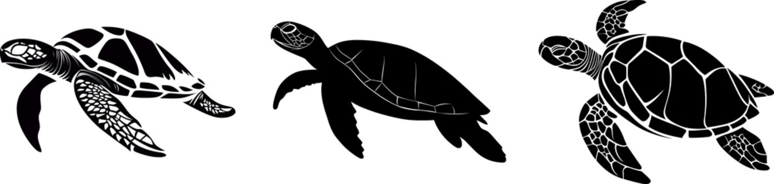 turtle illustration silhouette