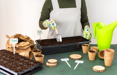 Woman planting tomato and pepper seeds on seedlings at home, wooden table with peat eco friendly pots and plastic containers for seedlings, preparing for spring work in the garden