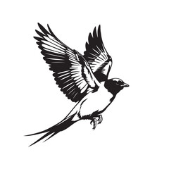 a beautiful bird flying in the morning silhouette with vector style in white background 