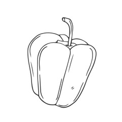 Bell pepper isolated on white background. Organic healthy food. Vector hand-drawn illustration in doodle style. Perfect for cards, logo, decorations, recipes, various designs.