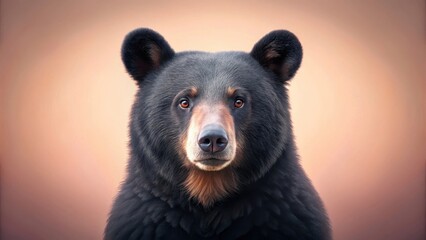 Fototapeta premium A Majestic Black Bear Portrait Powerful Gaze, Dark Fur, and Intense Eyes
