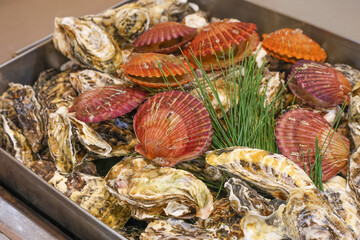 Korean seafood food. Steamed oysters and scallops
