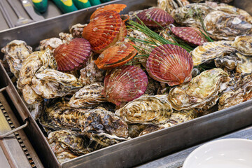 Korean seafood food. Steamed oysters and scallops