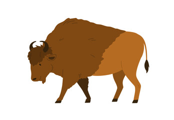 Bison, large wild mammal. Horned animal with fluffy fur, walking. Majestic powerful herbivore fauna. Forest buffalo profile, side view. Flat graphic vector illustration isolated on white background © Good Studio
