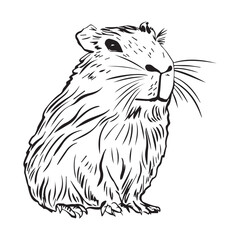 Funny capybara in flat design. South American adorable animals in linear style.