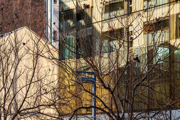 An artistic display of glass reflections intertwined with dried tree branches, blending natural elements with the modernity of contemporary architectural design in Barcelona Spain