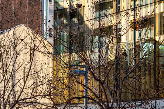 An artistic display of glass reflections intertwined with dried tree branches, blending natural elements with the modernity of contemporary architectural design in Barcelona Spain