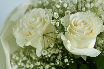 White roses with gypsophila on white background, close up