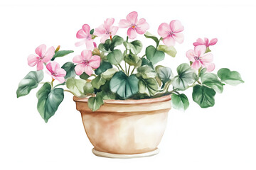 Naklejka premium Watercolor House Plants Clipart. Indoor Plants Planner Elements. Monstera, Cactus Scrapbooking. Flower Home Decor Clipart. Home Green Garden.