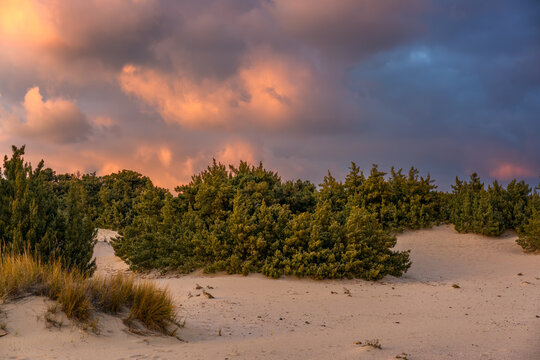Simos beach sand dunes in Elafonisos island at sunset, in Greece