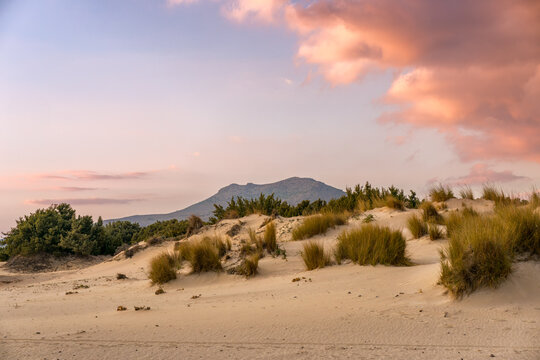 Simos beach sand dunes in Elafonisos island at sunset, in Greece