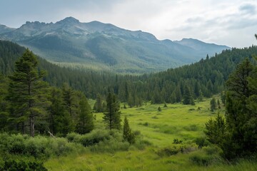 Fototapeta premium Serene Mountain Landscape with Lush Green Meadows