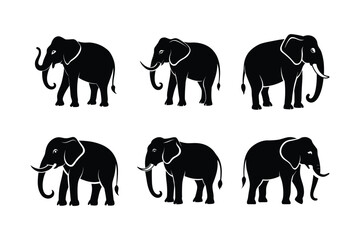Indian Elephant (Elephas maximus indicus) mammal animal, labeled silhouette vector art illustration.