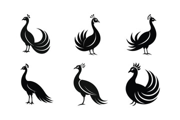 Fototapeta premium Indian Peafowl (Pavo cristatus) mammal animal, labeled silhouette vector art illustration.
